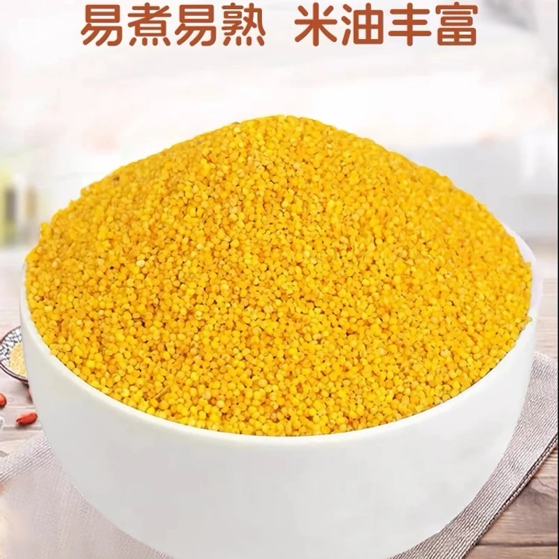 精品苗小米5斤 小米粥 早餐米 月子粥