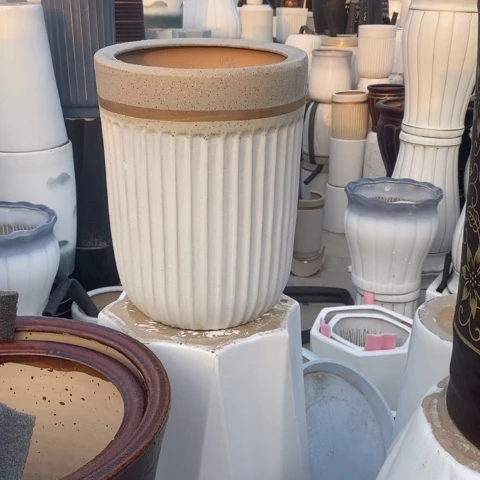 低腰金边竖条纹中 口25/33