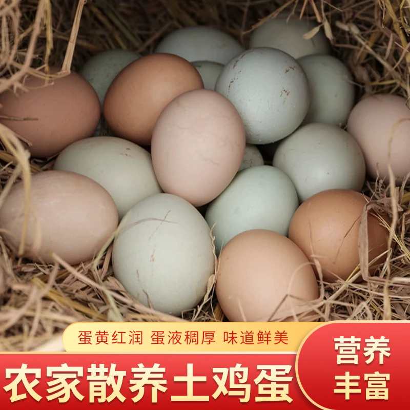 农家正宗土鸡蛋乌鸡蛋柴鸡蛋混合土鸡蛋农家散养农家土货生鲜土货