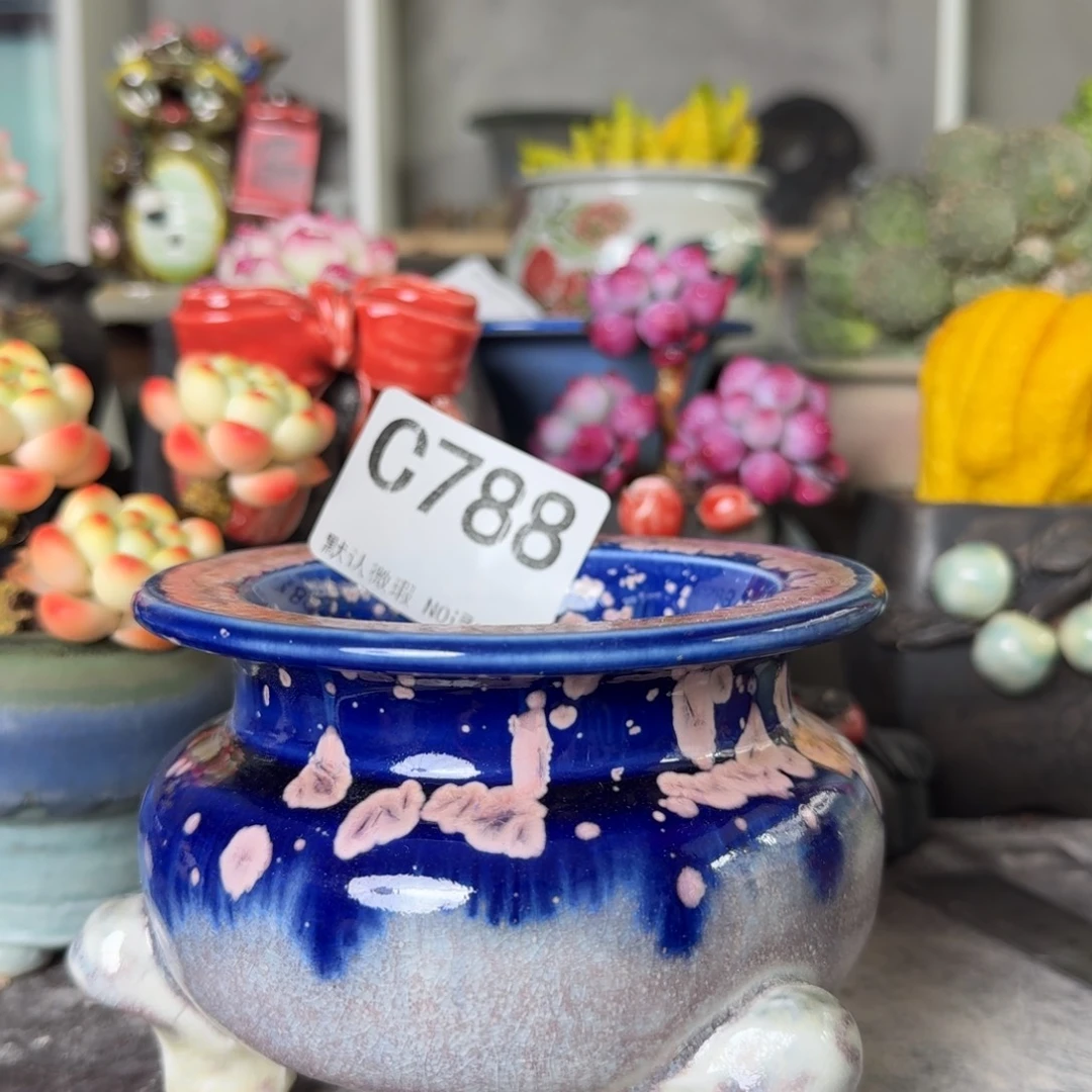 重庆小燕子欢迎大家788
