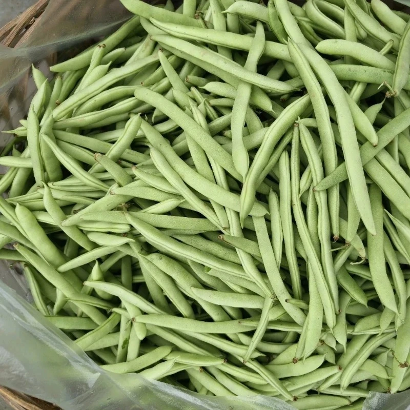 云南高原山货 四季豆 卤蛋甄选