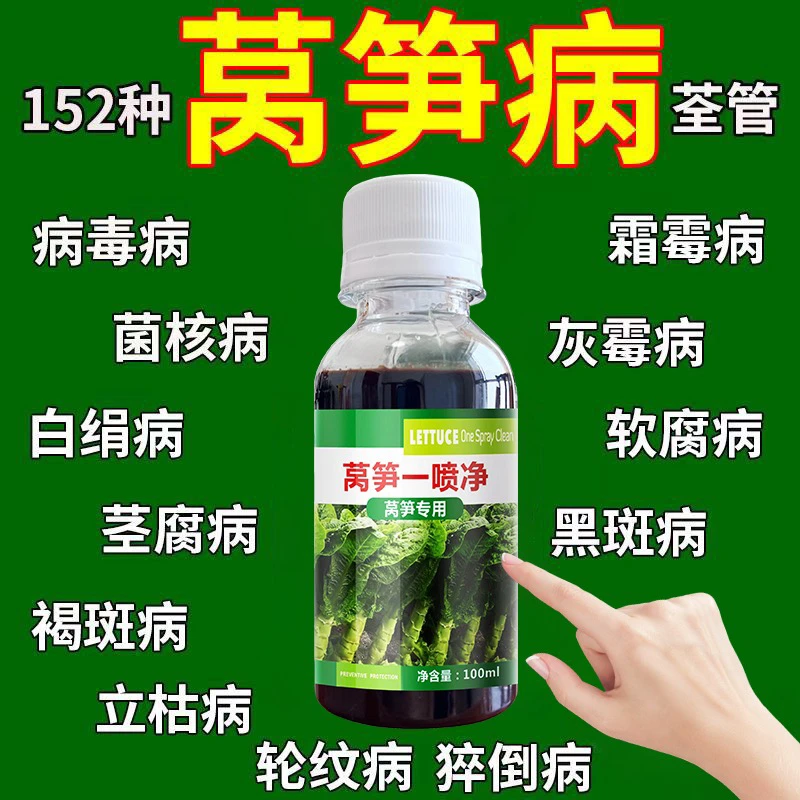 莴笋病害清莴笋霜霉菌核专用叶枯软腐炭疽霜霉叶斑病叶面肥