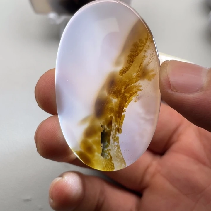 玛瑙/玉髓颈饰未镶嵌志**鹄