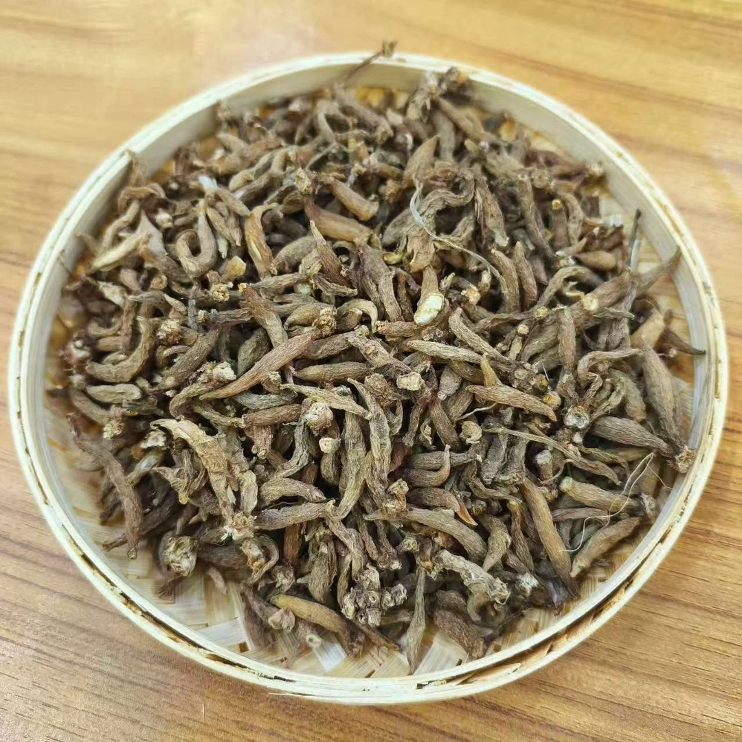 童子参 【袁瑞泽推荐】