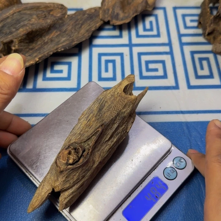 木海南黄奇树心虫漏48克