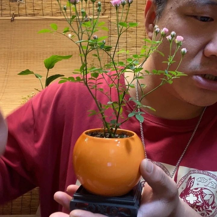 一***景一物一拍所见即所得269