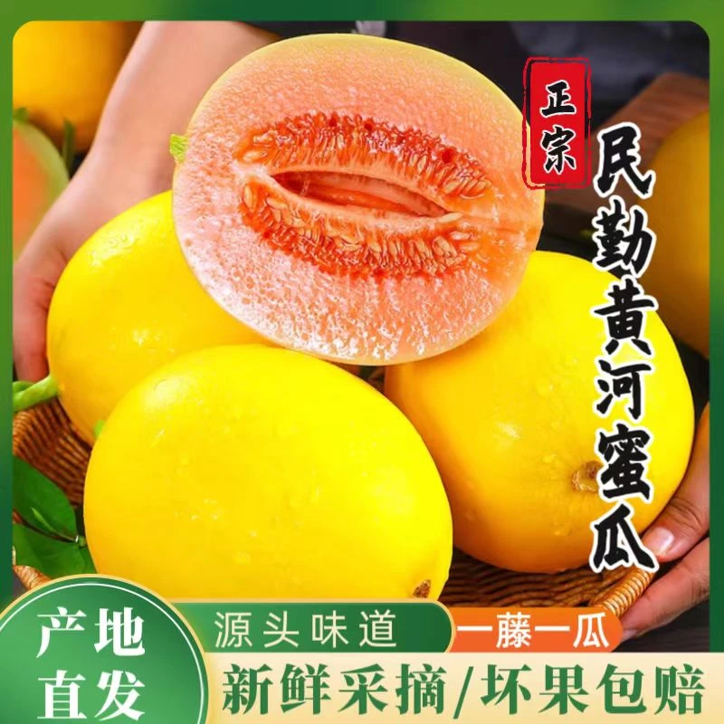 【沙漠蜜瓜】正宗甘肃民勤黄河蜜瓜应季新鲜水果超甜黄皮香瓜金红宝