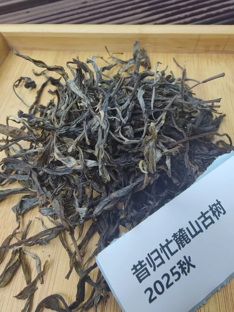 2025秋【昔归忙麓山古树】1000克 普洱茶 散茶