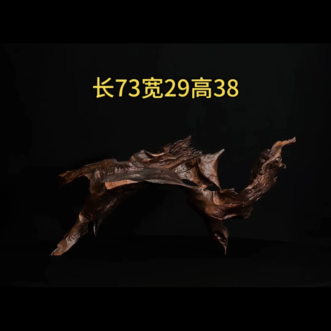 张大狼沉木鱼缸造景73cm长异型拱桥造型沉木鱼缸装饰摆件