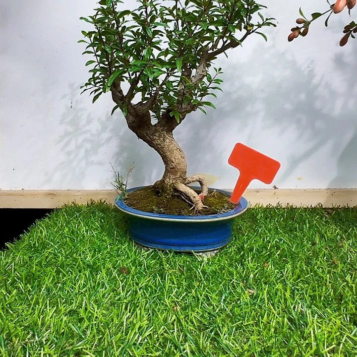 五***哥三地方货架看而估计