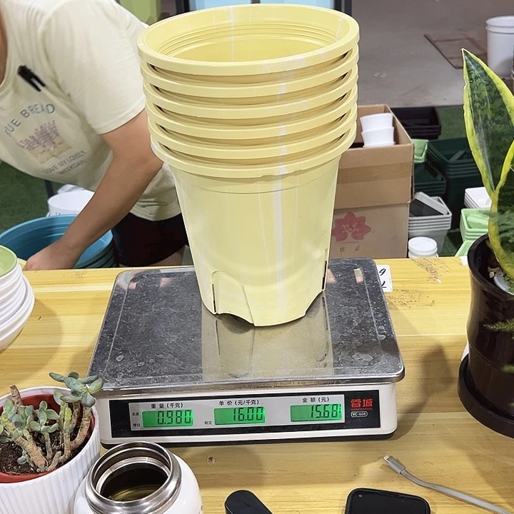 微瑕圆形控根口21高21黄色无托6只