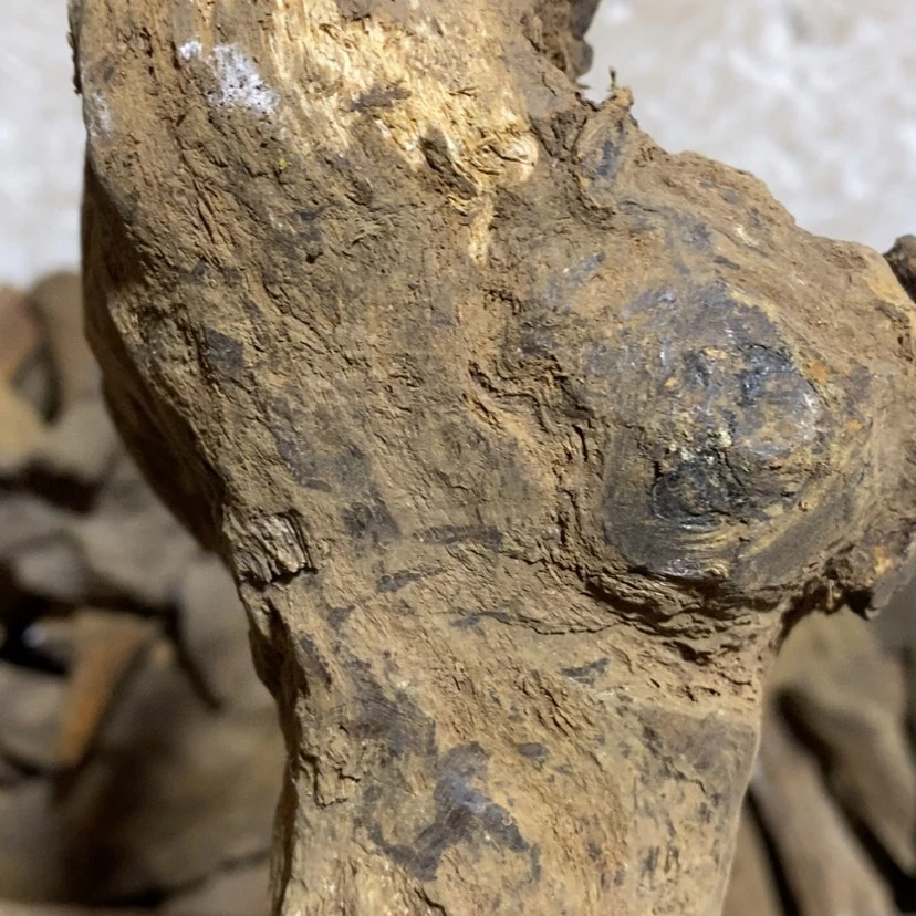 【闪购商品】贡木其他菜**子定制123456790