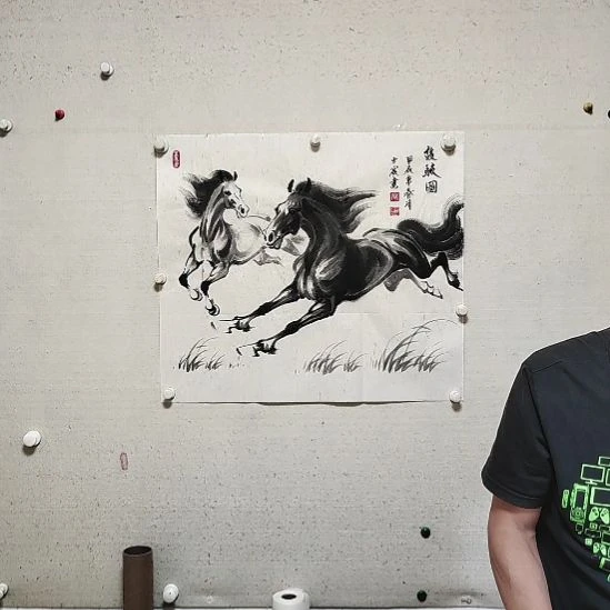 横款周士宸水墨写意奔马作品