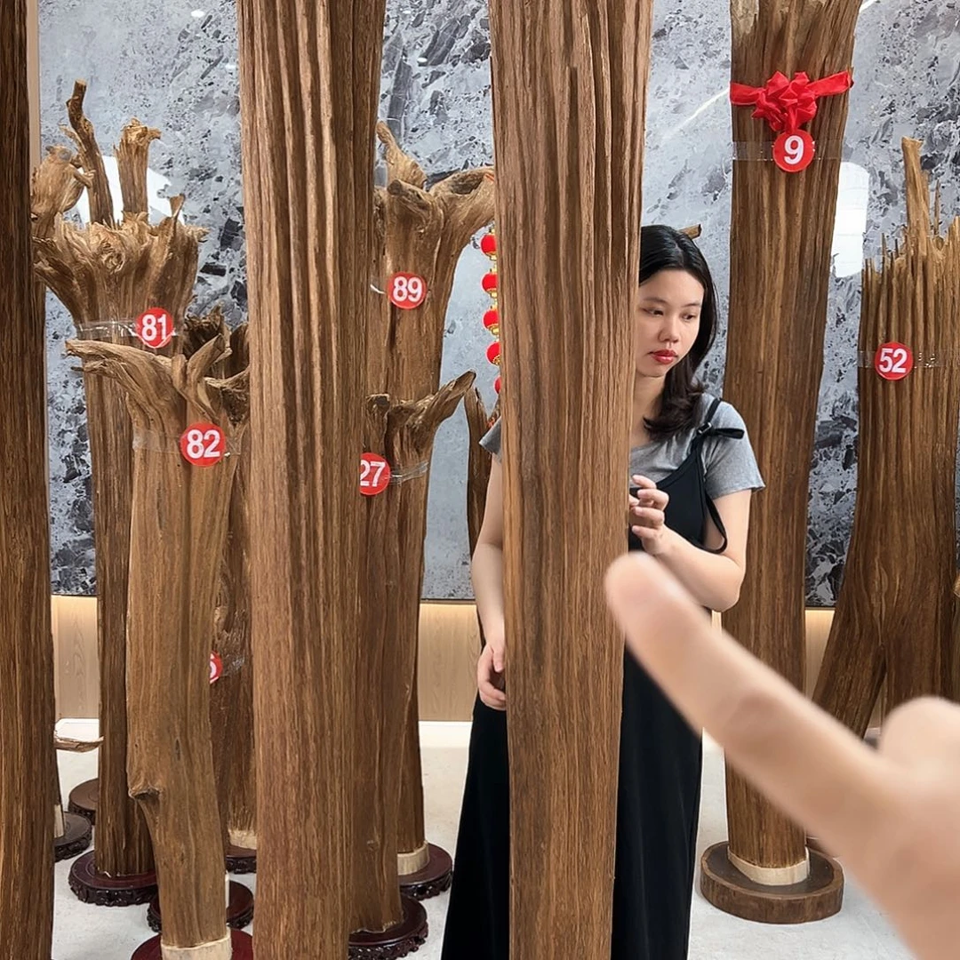 大***地沉香碎屑沉香天然沉香