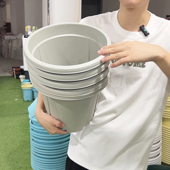 特价青山口32高28灰白无托5只