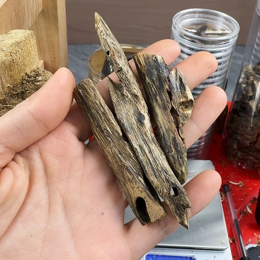 香料绿奇楠虫漏白棋14克