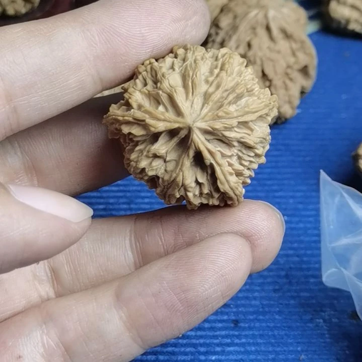 小***学核桃手串/手链全品