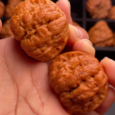 文玩核桃把件秦岭山脉核桃