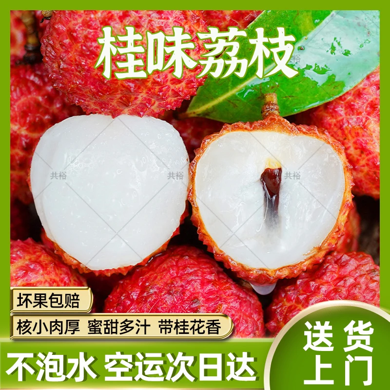 【顺丰次日达】广东桂味荔枝3斤装增城发货 头茬鲜果净重2.5斤现摘新鲜不泡水广东省