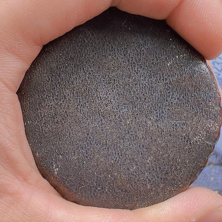 大果紫檀（缅甸花梨）X13