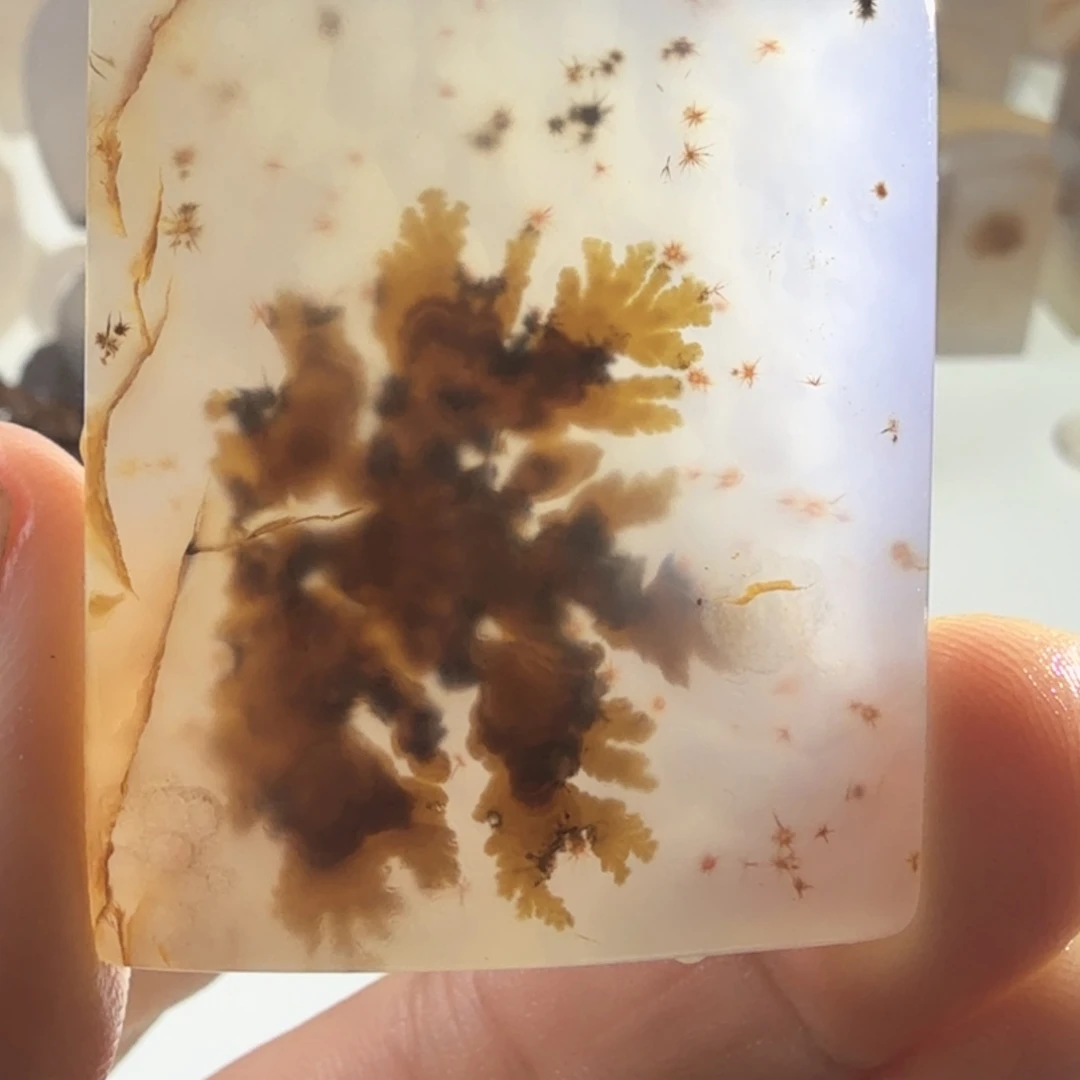 玛瑙/玉髓未镶嵌珠宝半成品