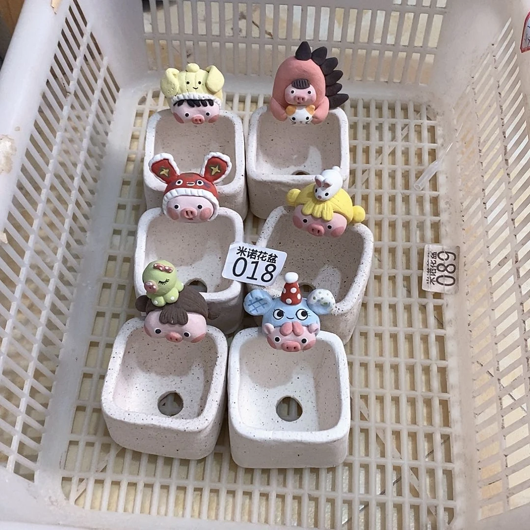 伊*米诺多肉花盆18