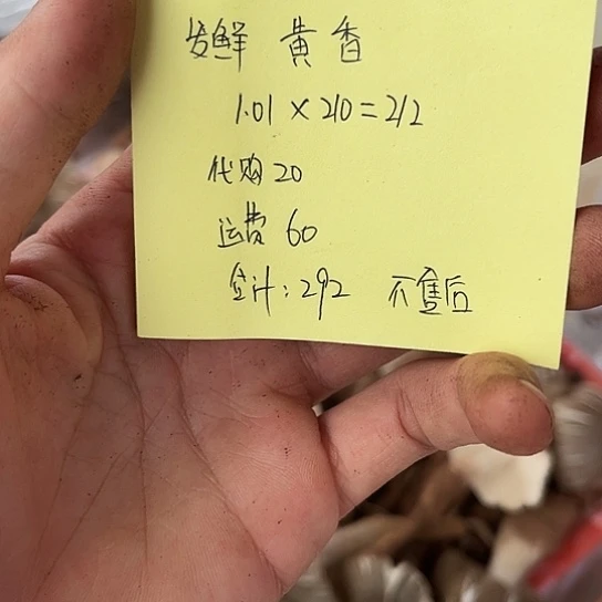 *****云南深山野生菌香焖头发鲜