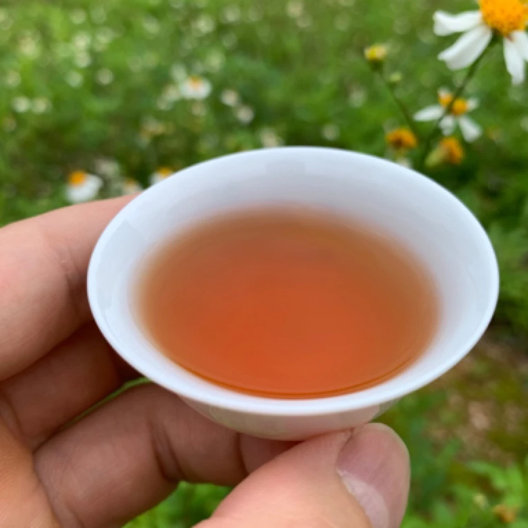 乌岽单丛茶包，凤凰镇发货