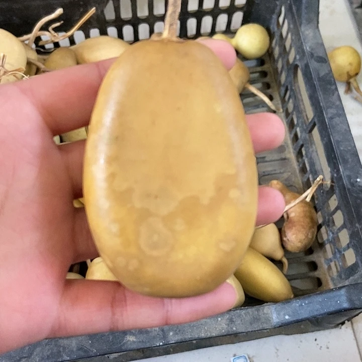 根***繁d f g h j j k