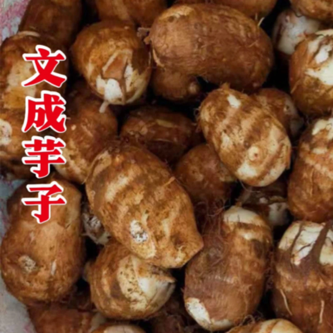 文成新鲜牛奶小芋头香糯粉滑产地直发农家现挖蔬菜