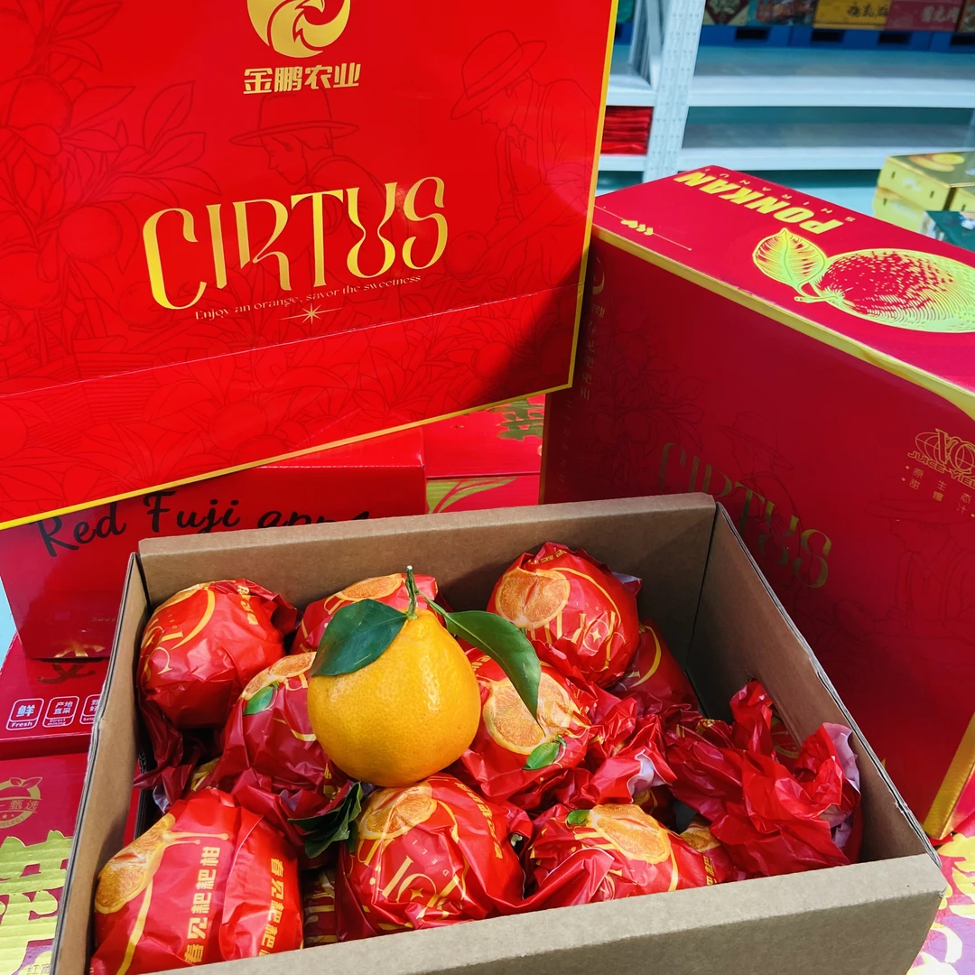 【礼盒装】金鹏农业 红箱 爆浆耙耙柑 果肉细嫩爆汁 带箱8.7斤左右