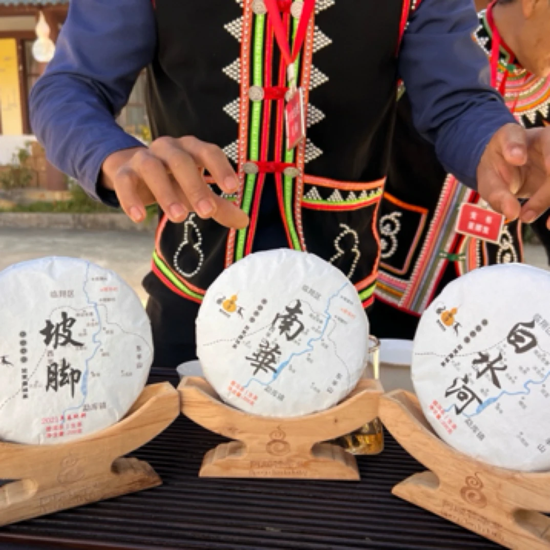 【新人福利】24年白水河➕21年坡脚➕24南华混采·普洱生茶