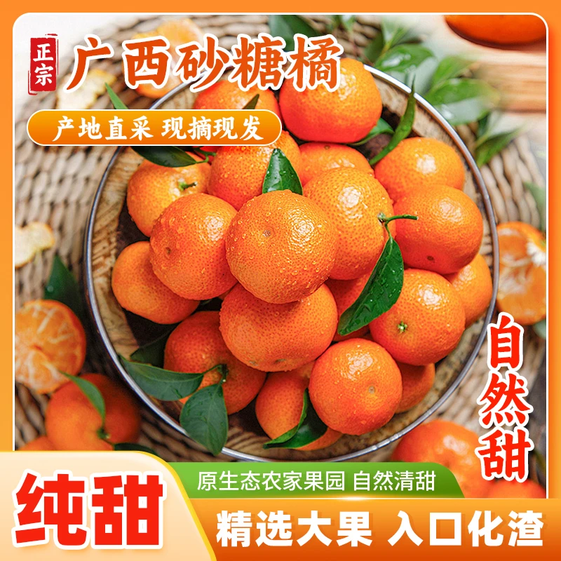 精选正宗广西砂糖橘新鲜桔子大果整箱自认成熟老树砂糖春见耙耙柑