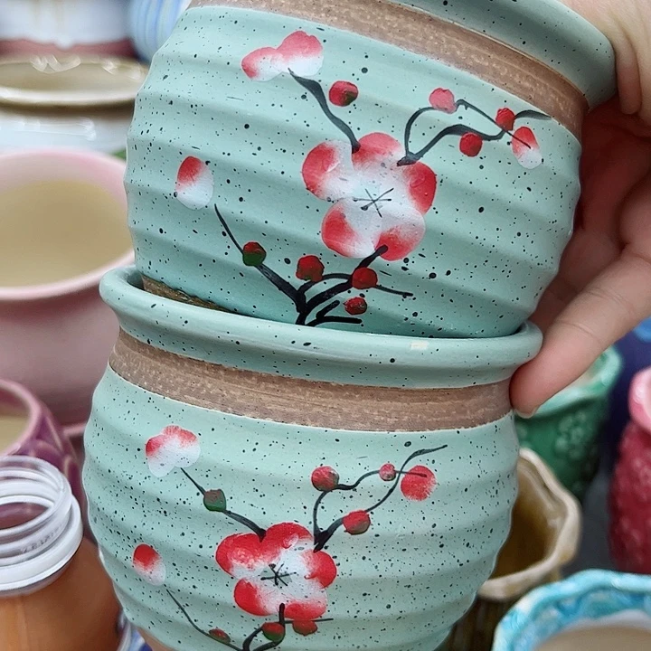 多肉绿植陶瓷花盆9.9包邮，有孔