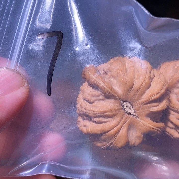 文玩核桃把件那*7呃呃呃