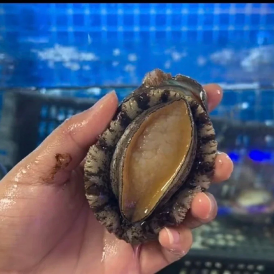 梭子蟹链接 拍这个 单只链接
