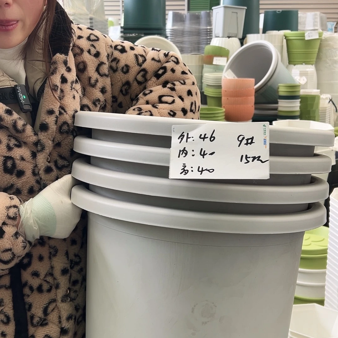 四季盆9#灰白4个无托