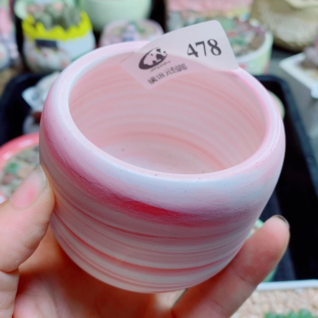 敏***娃生石花花花哈哈哈哈哈哈478