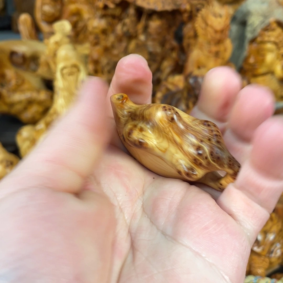 柏木（崖柏）太行崖柏