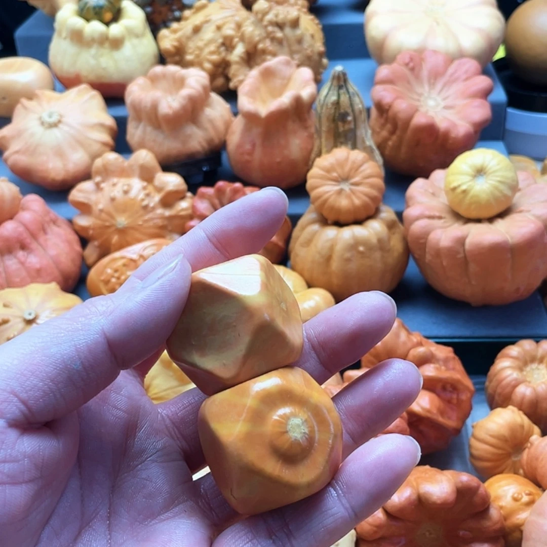 半***义墨西哥葫芦微瑕葫芦