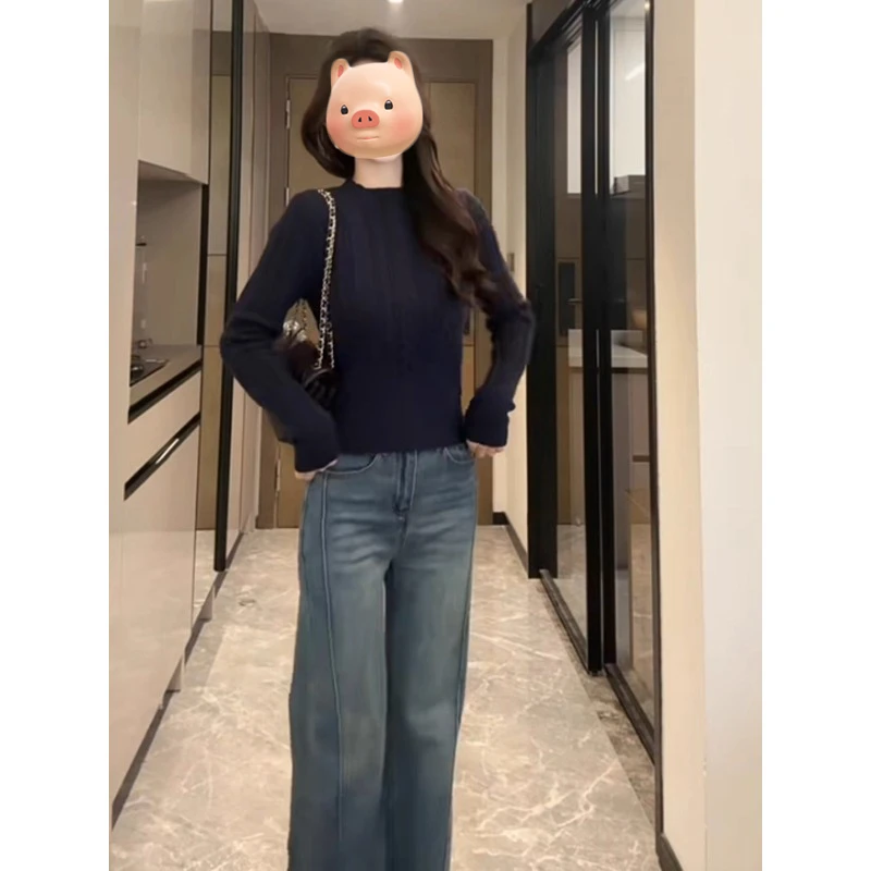 黑色套头小立领打底麻花毛衣女秋冬内搭可外穿收腰显瘦针织衫上衣