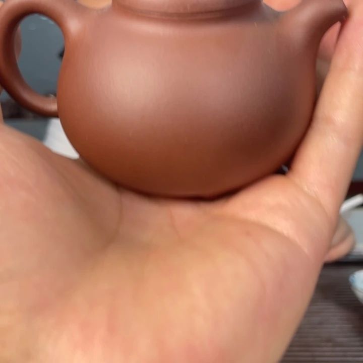 茶壶紫砂哈哈哈哈哈这个综艺节目真的