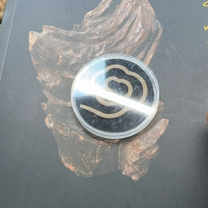 大叶紫檀（黑酸枝木类）