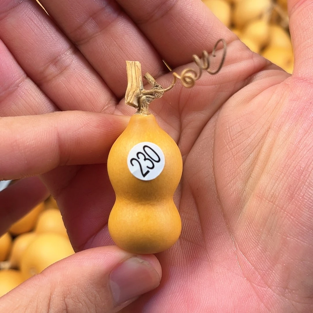 五葫芦葫芦葫芦葫芦230