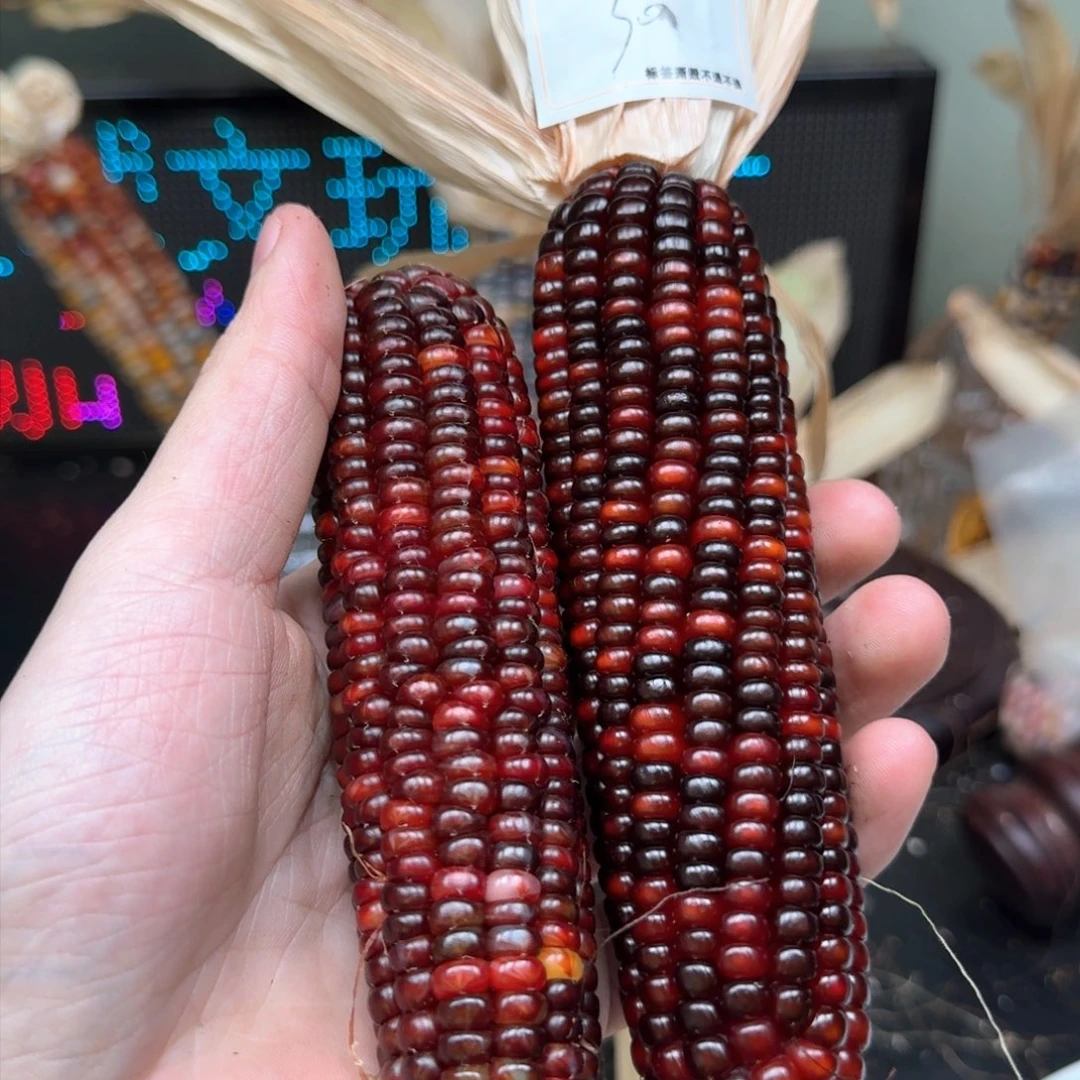 柏香籽/百香籽吊坠M**y