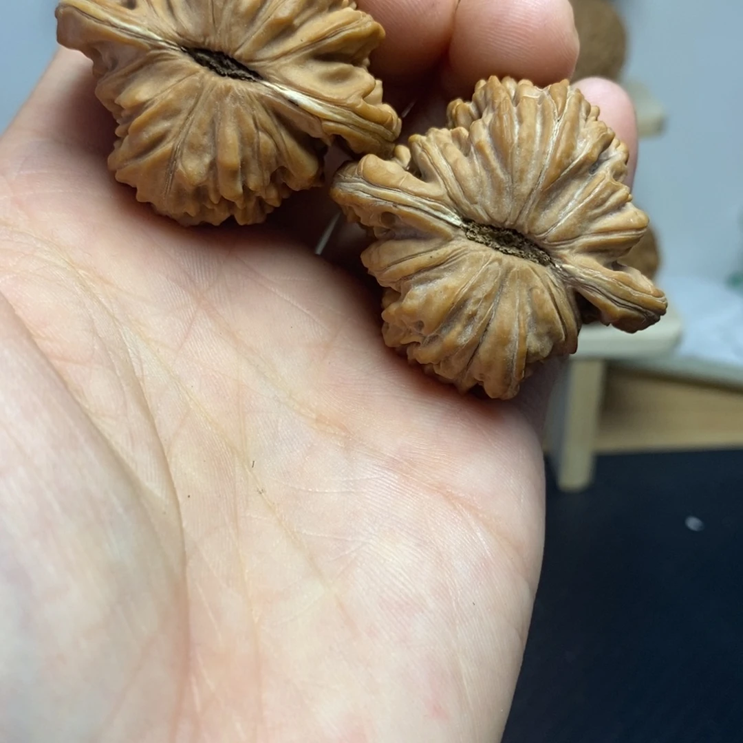 大叶紫檀（黑酸枝木类）43+楼子