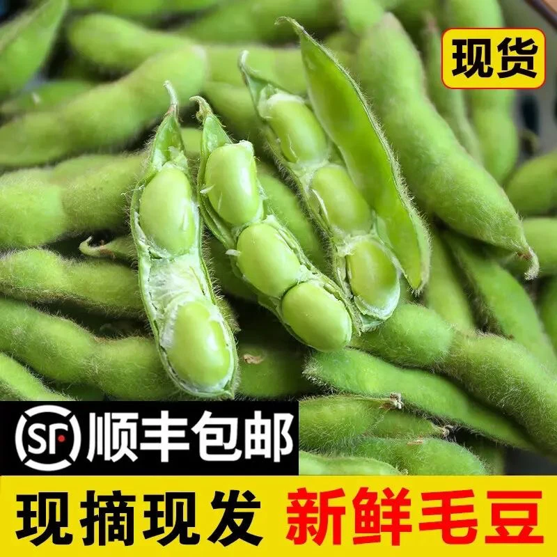 【开森优选】顺丰包邮安徽新鲜毛豆嫩毛豆带壳毛豆豆荚农家自种现摘