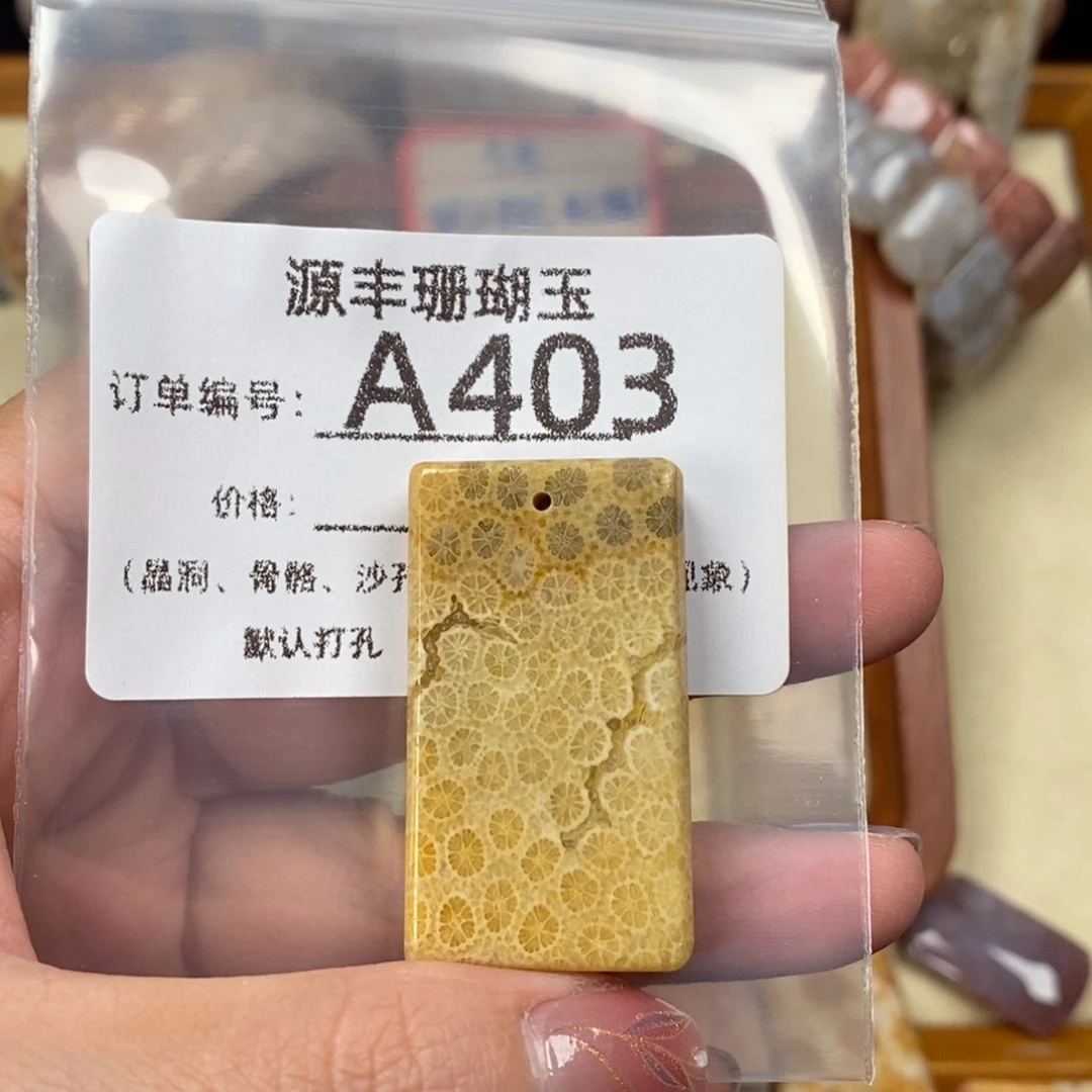 赛***车硅化玉未镶嵌颈饰
