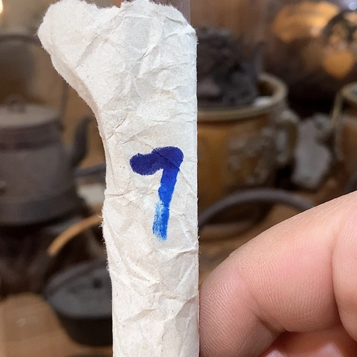 壶快***蛛……………………………………………….