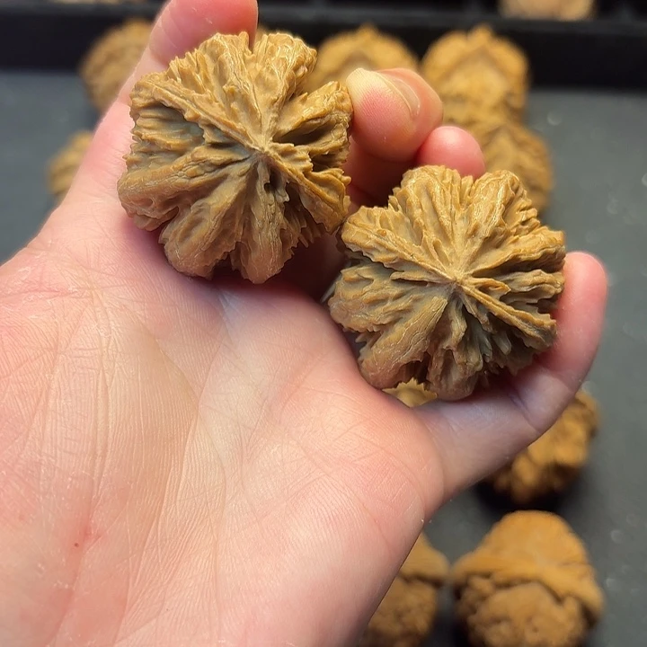 我也不知道我为什么要这样